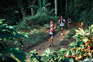 BIB: 
                            <button type="button" onclick="openModal(25812546)" class="btn btn-primary btn-sm float-right btn-popup" data-toggle="modal" data-target=".modal-high-quality">
                        <i class="fas fa-shopping-cart"></i> Add to Cart
                    </button>
                                            <button type="button" onclick="isThisMe(25812546, true)" class="btn btn-success btn-sm float-right btn-popup btn-isme hidden" data-toggle="tooltip" data-placement="bottom" title="นี่คือรูปของคุณใช่ไหม คลิกที่นี่เพื่อเอาเข้าอัลบั้ม">
                        <i class="fas fa-plus"></i> Add to album
                    </button>
                    <button type="button" onclick="isThisMe(25812546, false)" class="btn btn-warning btn-sm float-right btn-popup btn-isnotme hidden">
                        <i class="fas fa-ban"></i> Remove from album
                    </button>